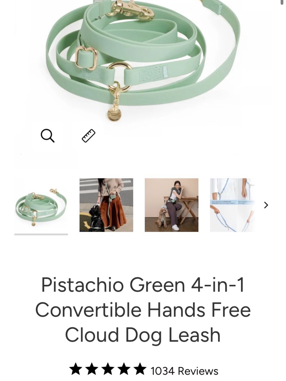 Sunnytails Pistachio Green 4-in-1 Convertible Hands-Free Leash Set